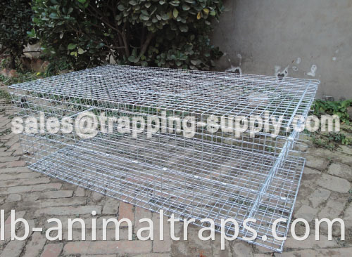 Double Door Galvanized Pigeon Cage Trap